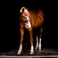 IMG_7169-Edit-3
