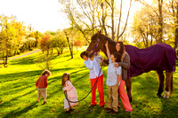 T Family Outside