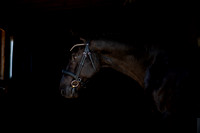 IMG_0959