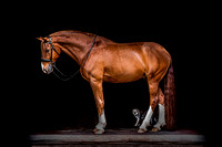 IMG_7115-Edit-2