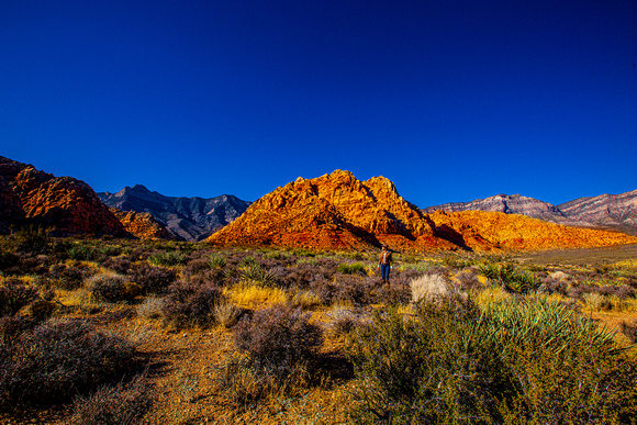 Red Rock 6
