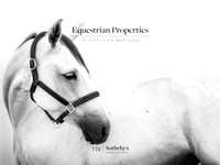 Sotheby's Equestrian Homes